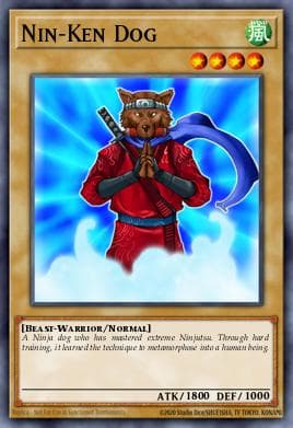 Nin-Ken Dog